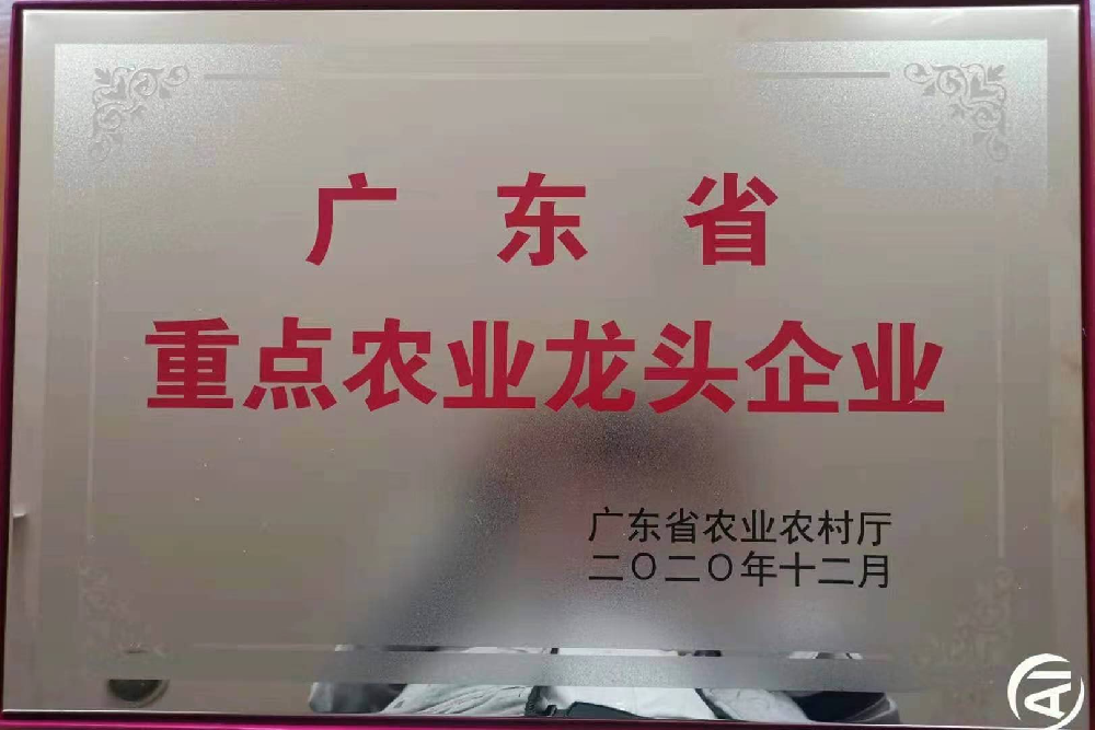 更上一層樓！追求無止境